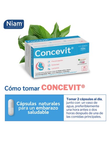 Concevit Niam