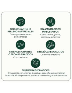 Proteína Láctea 2