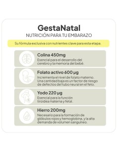 Gestanatal 2