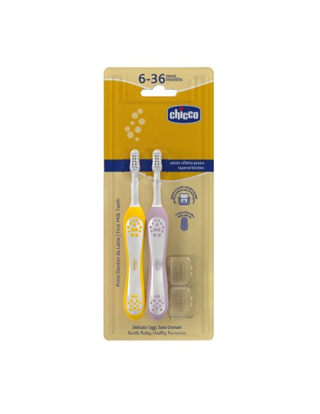 Bipack cepillo de dientes dos colores 6-36M