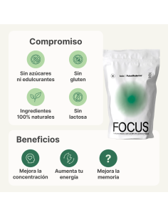 Focus 2