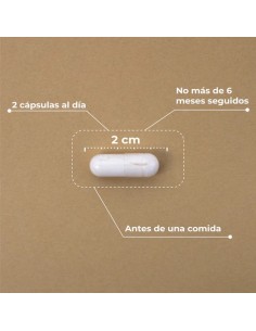 Pre-post probiótico Kobho 2