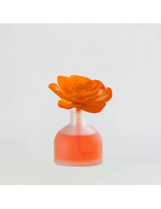 Flor Premium Sweet Orange